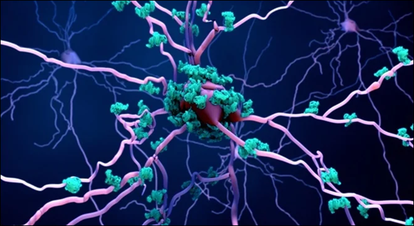 Inline Image